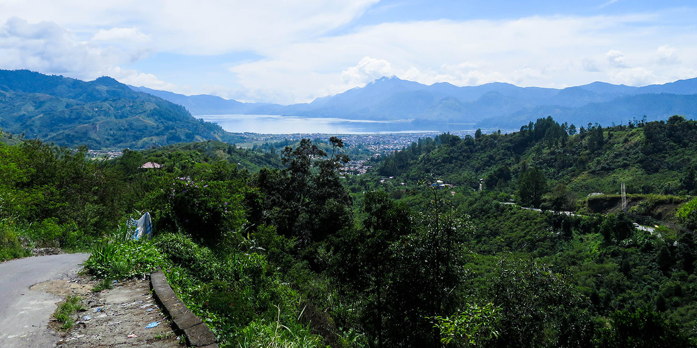 Aceh coffees