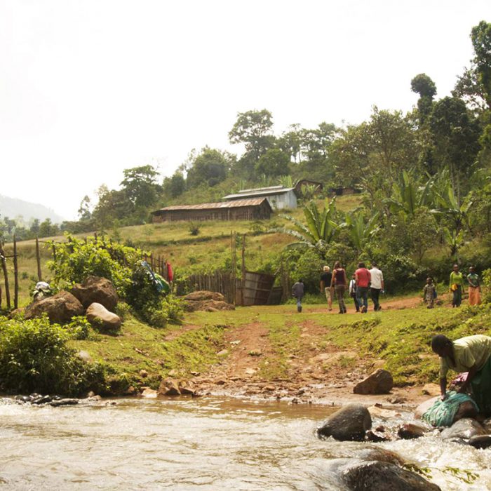 Adado Co-operative