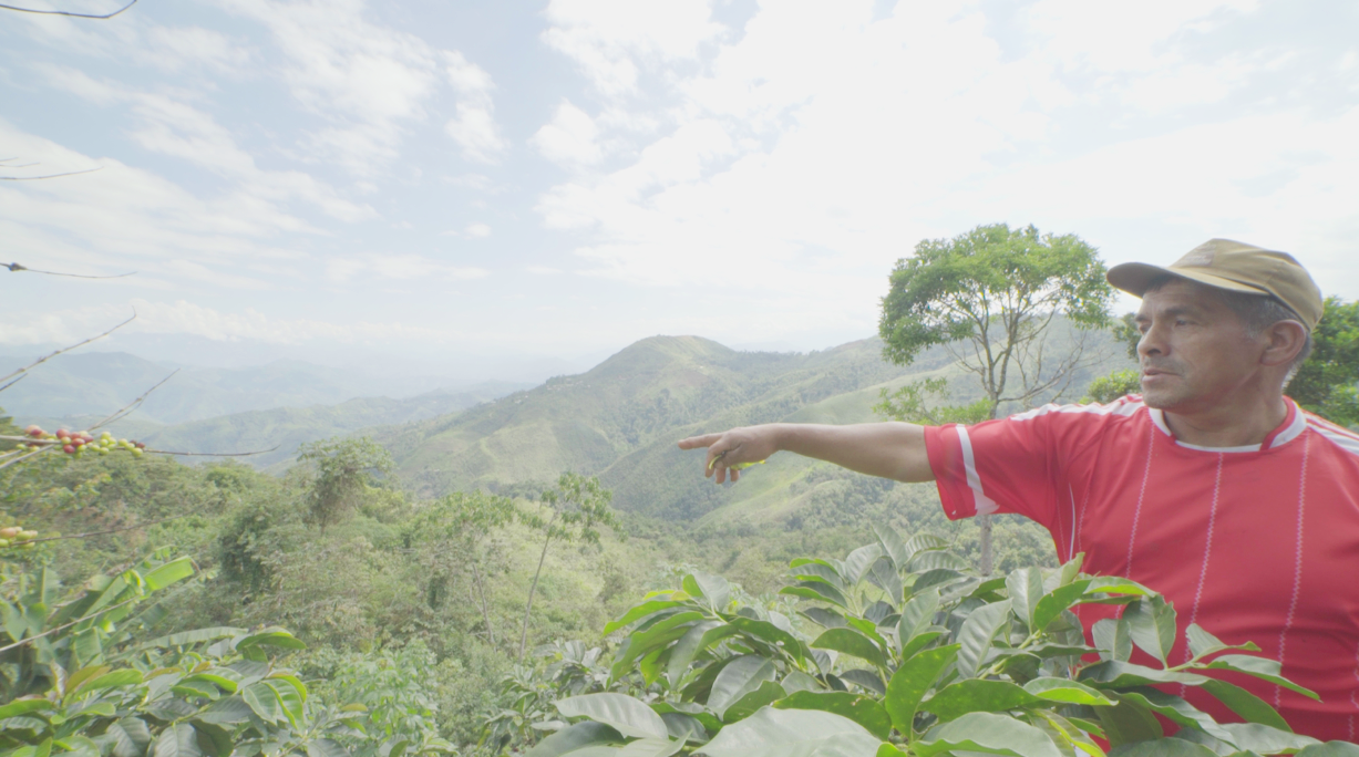 Peruvian coffee
