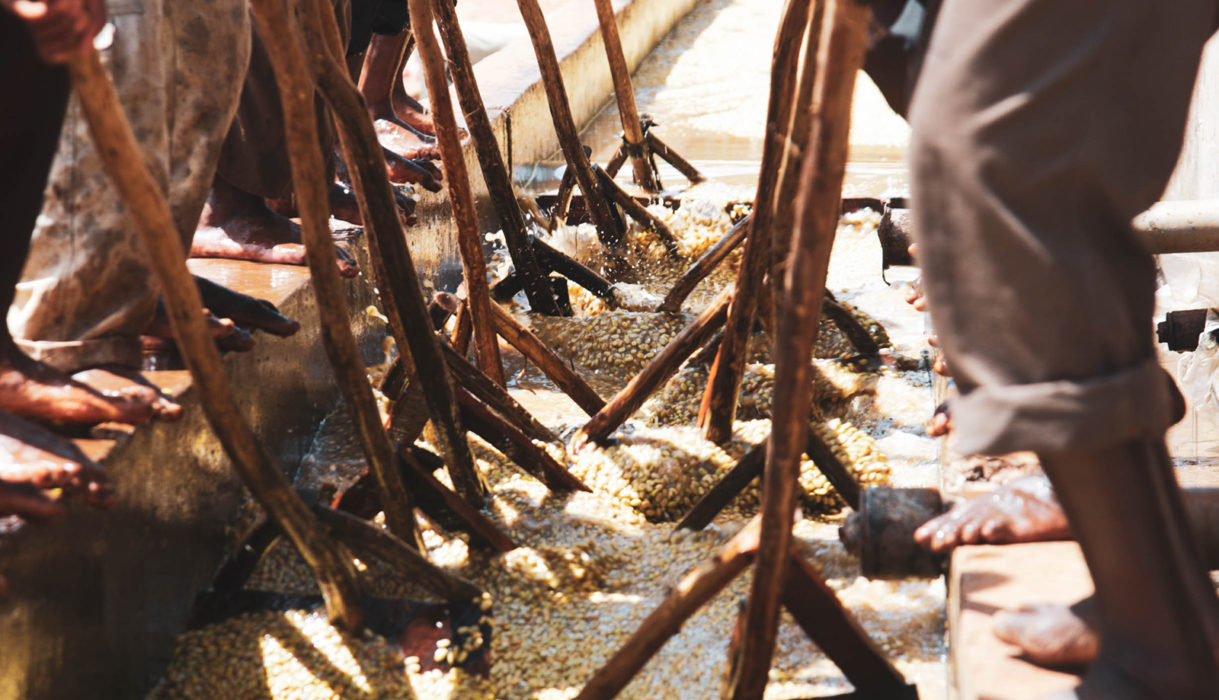 Sasaba Washing Station