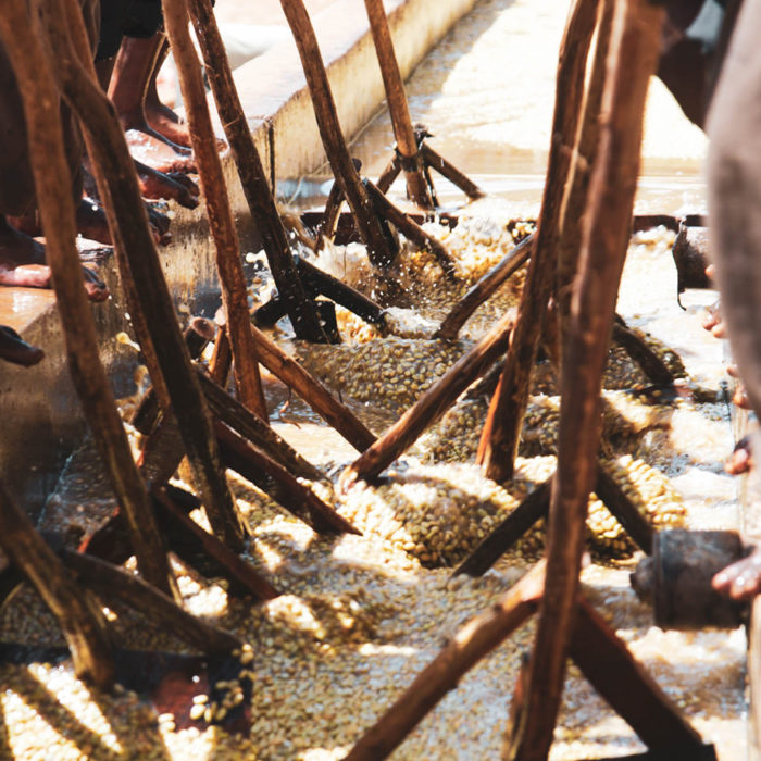 Sasaba Washing Station