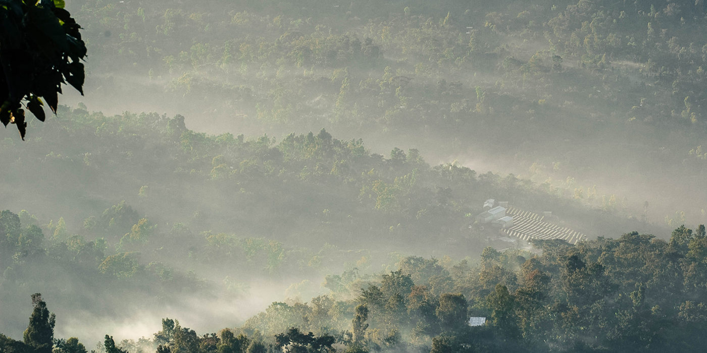 Yirgacheffe region