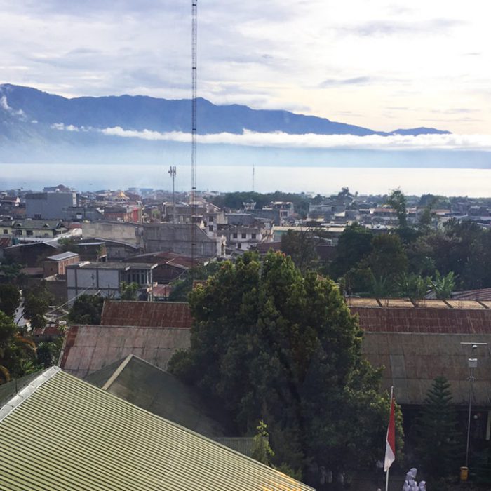 specialty coffee from Sumatra