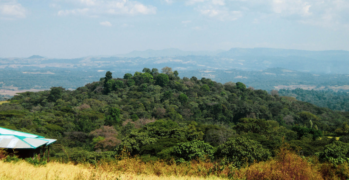 Burka Gudina Farm