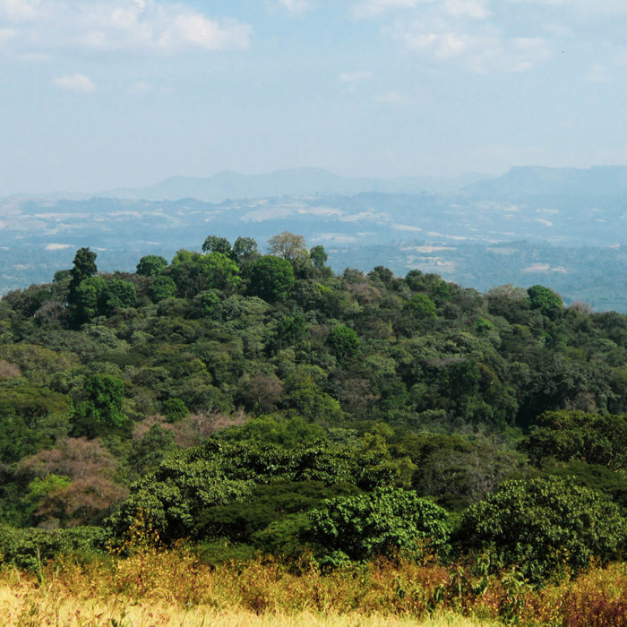 Burka Gudina Farm