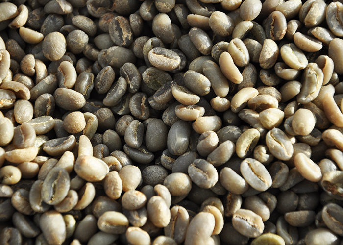 green coffee defects