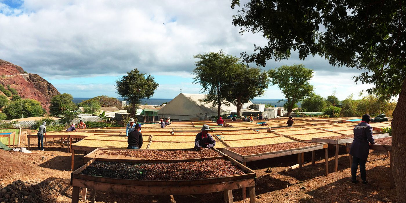 coffee culture in cape verde