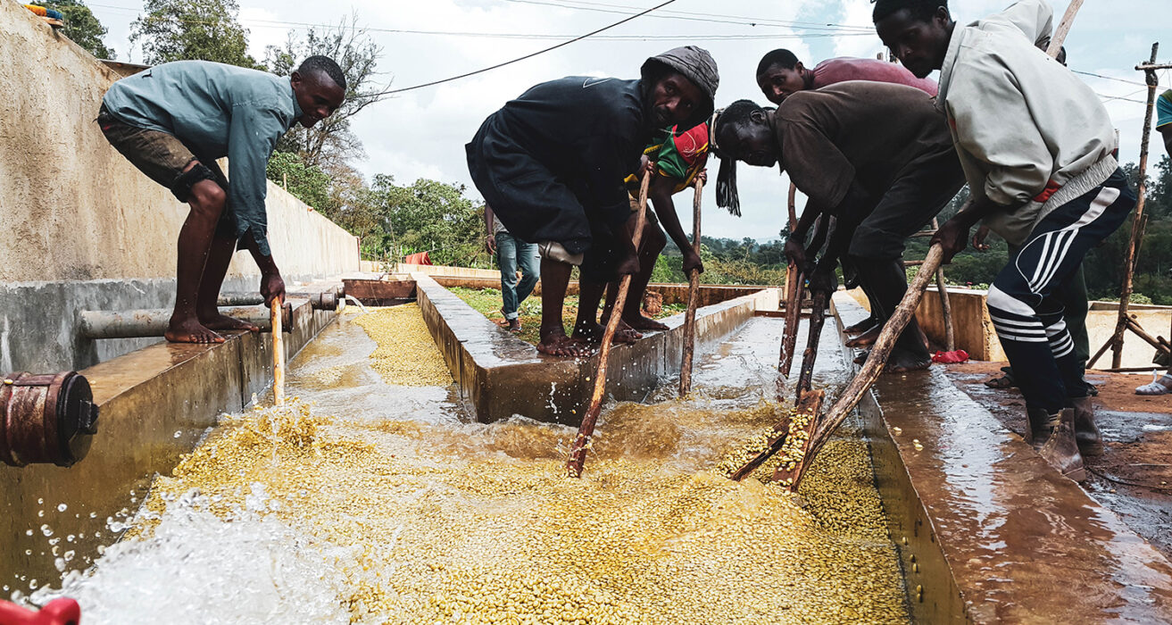 Gora Kone washing station