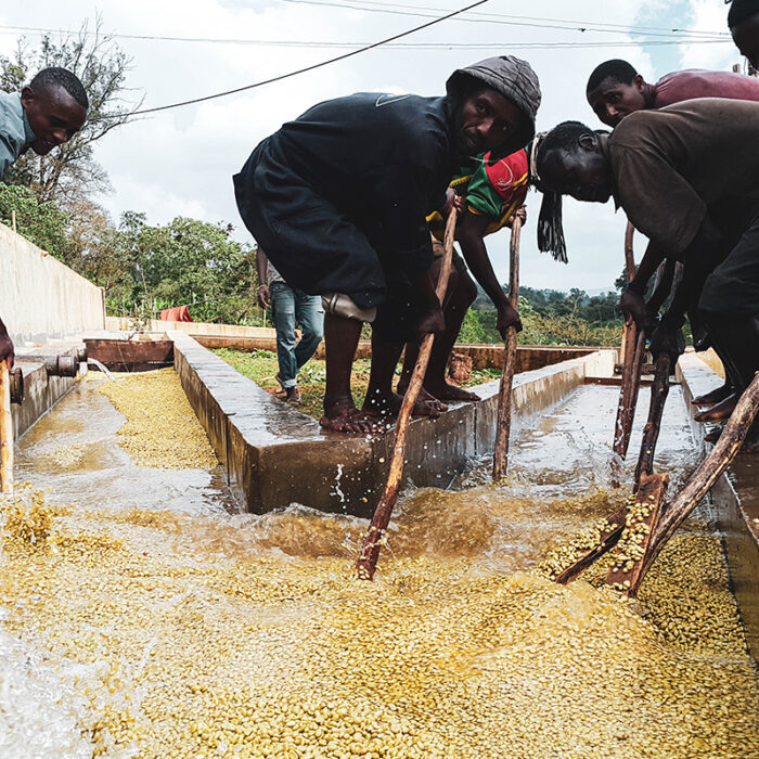Gora Kone washing station