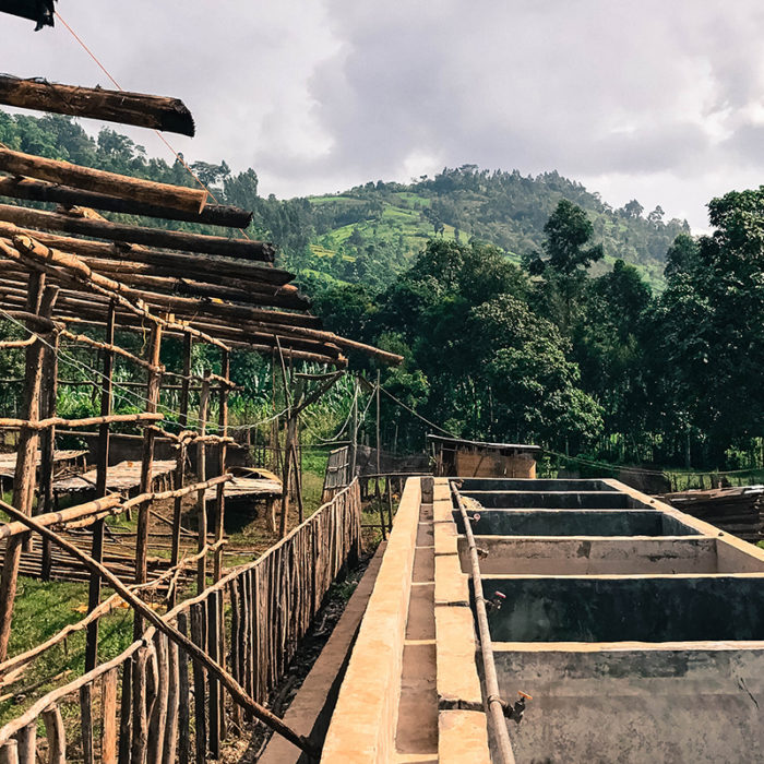 Qisha washing station