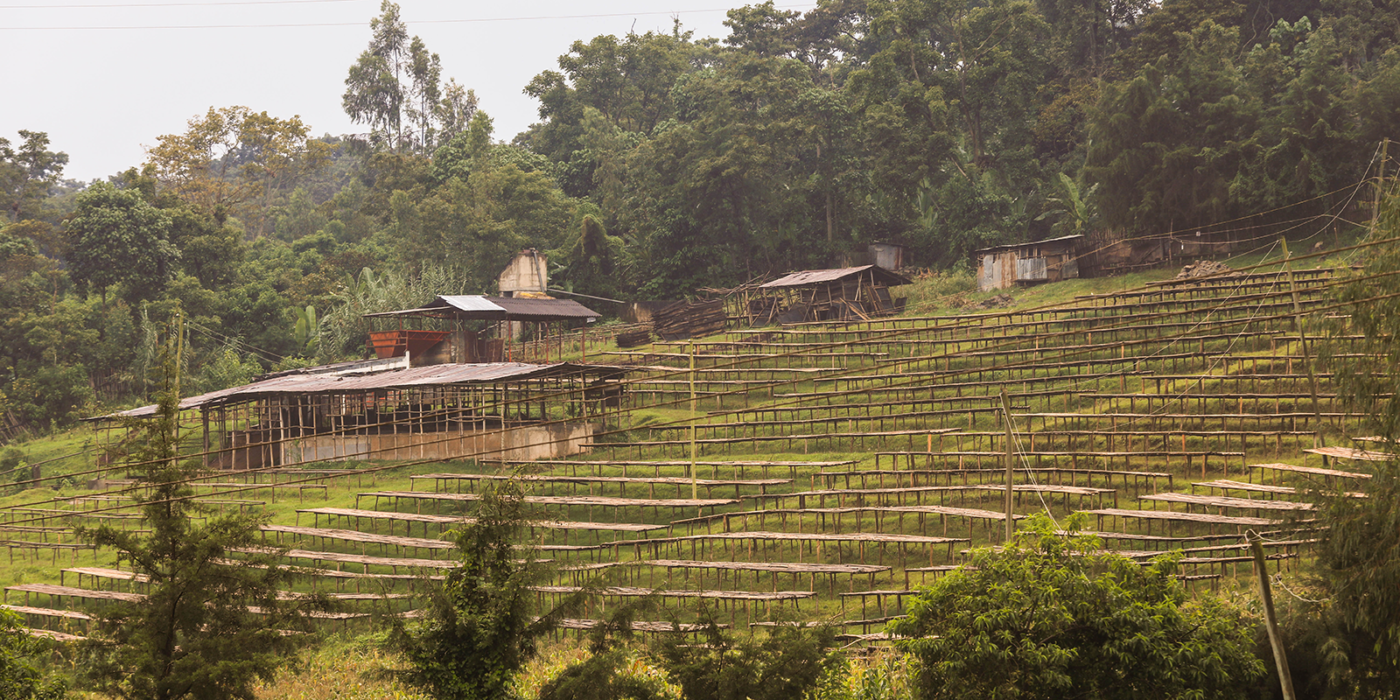 Butucha washing station