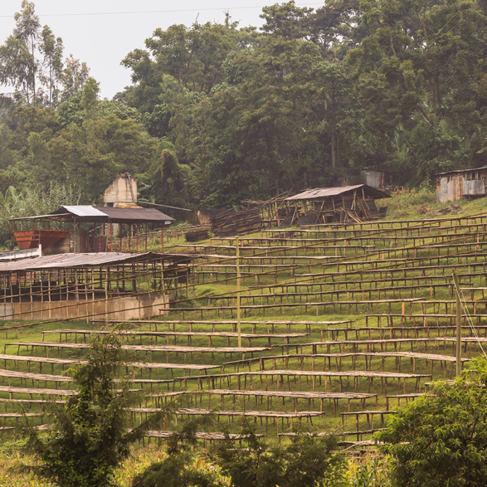 Butucha washing station
