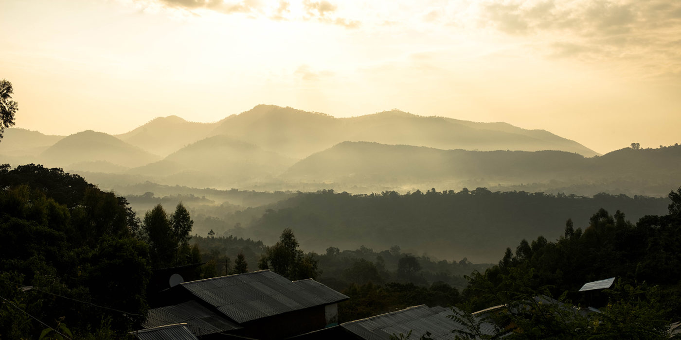 3-reasons to pre-book your Ethiopian coffees now