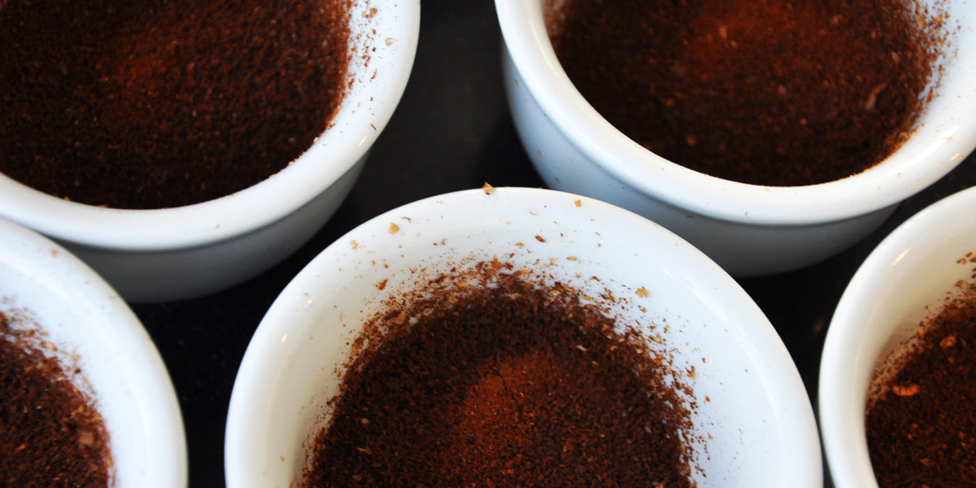 Cup new crop in Ethiopia header