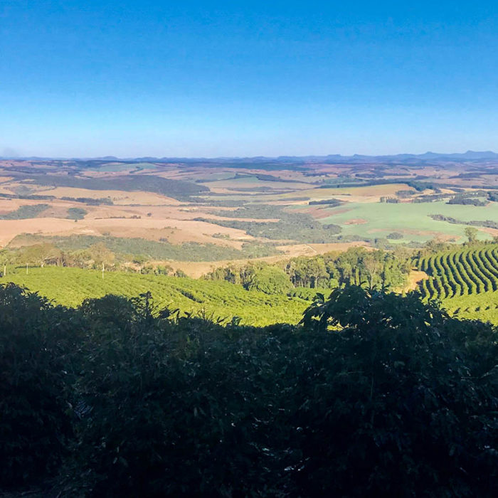 Fazenda Colina