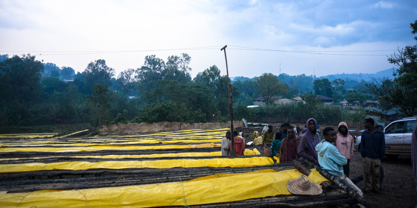 Borboya washing station