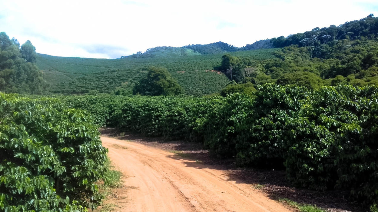 Djalma Diniz farm