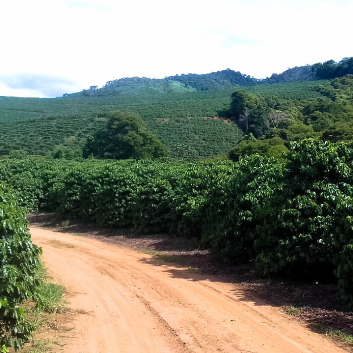 Djalma Diniz farm