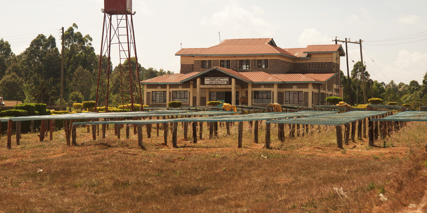 Kenyan smallholders demand higher prices