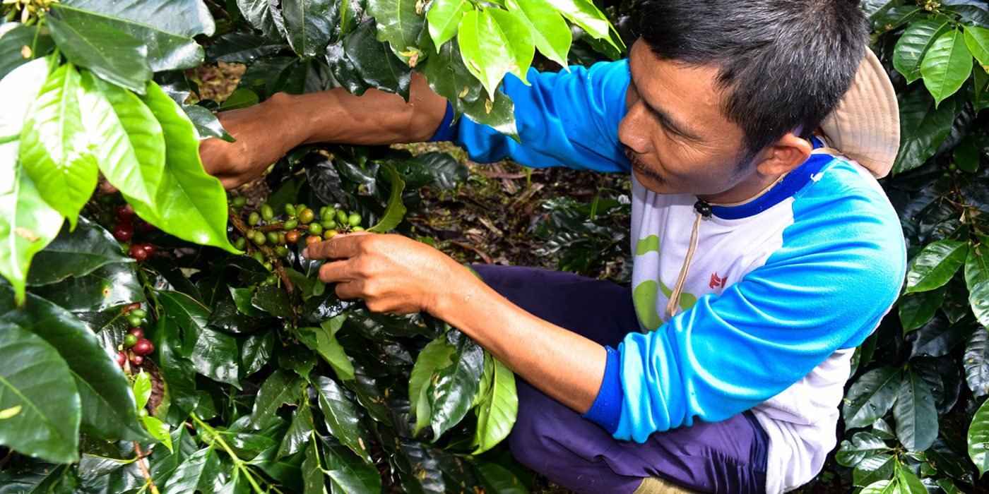 Sumatra Pakpak