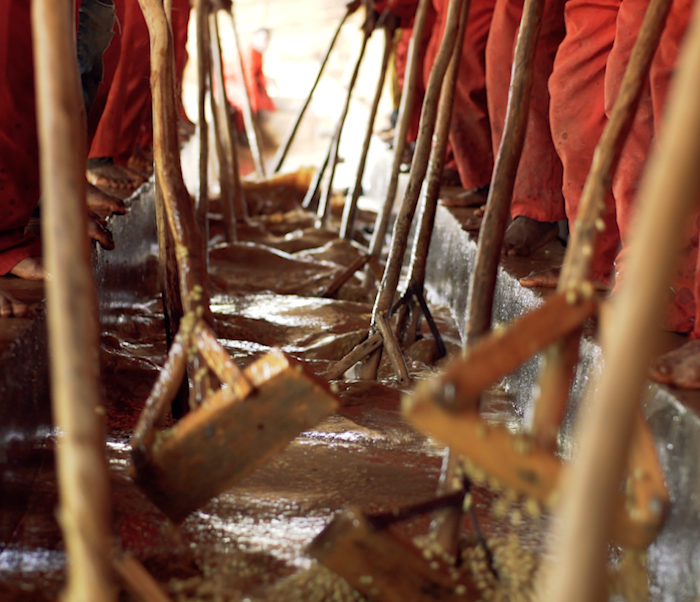 The Story of Guji Coffee
