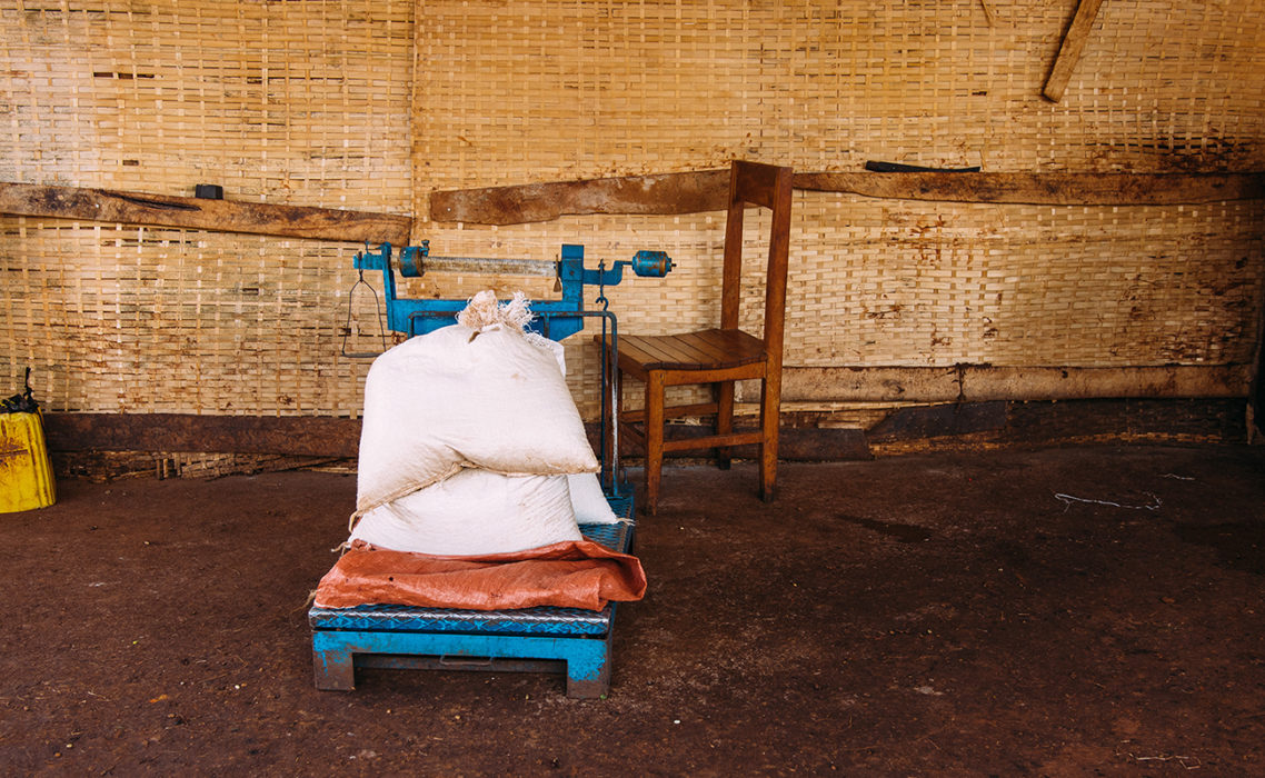 What to Expect From Ethiopia’s New Crop