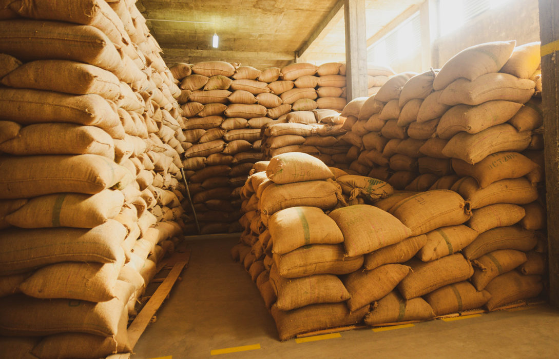 Clarifying the role of the coffee importer