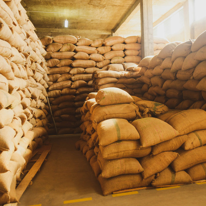 Clarifying the role of the coffee importer