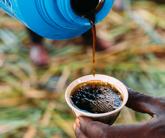 How You Become A Successful Green Coffee Buyer