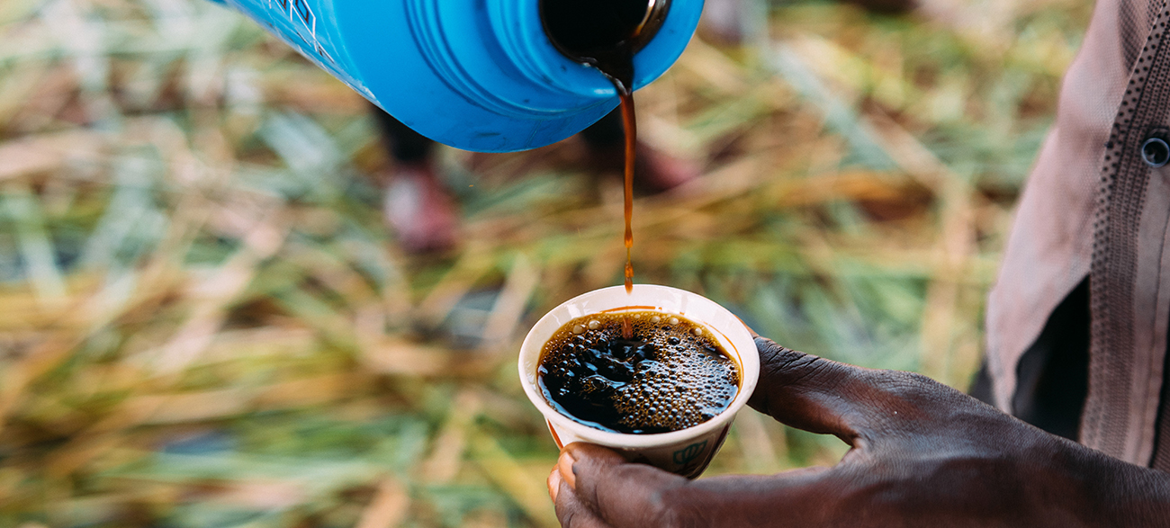How You Become A Successful Green Coffee Buyer