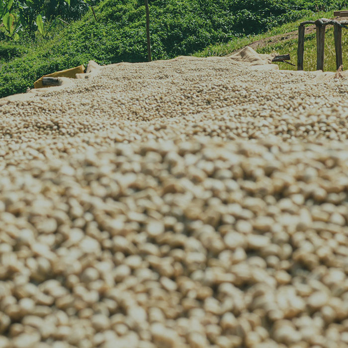 Understanding Your Coffee Contracts