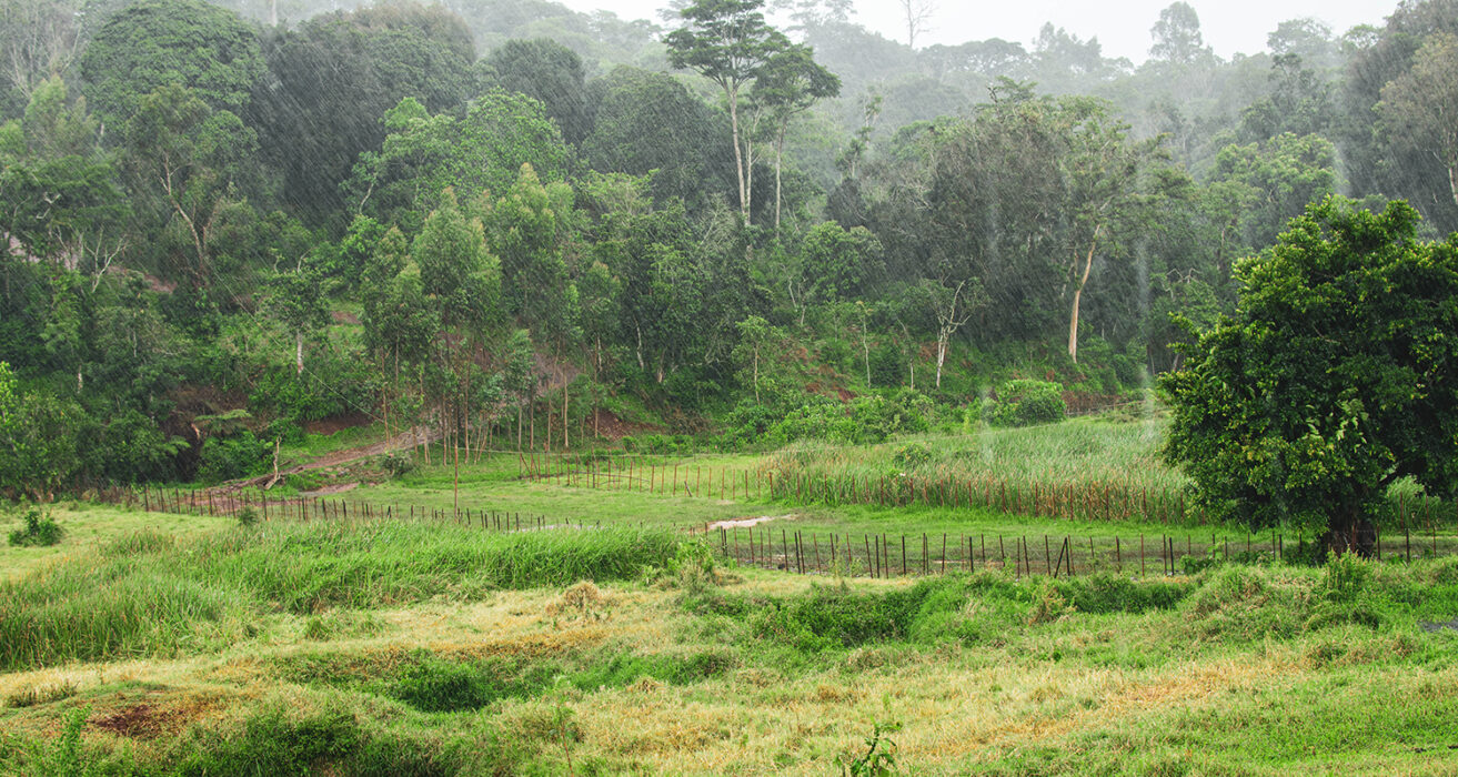 Duromina Cooperative