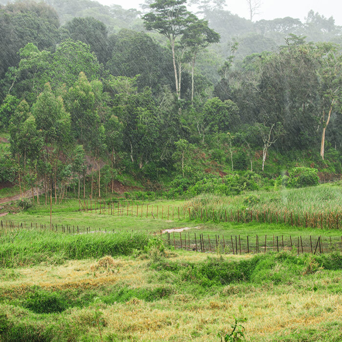 Duromina Cooperative