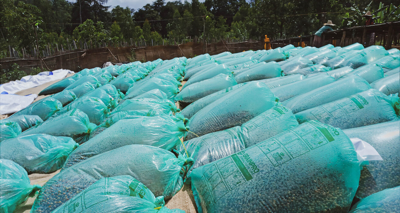 Halo beriti washing station