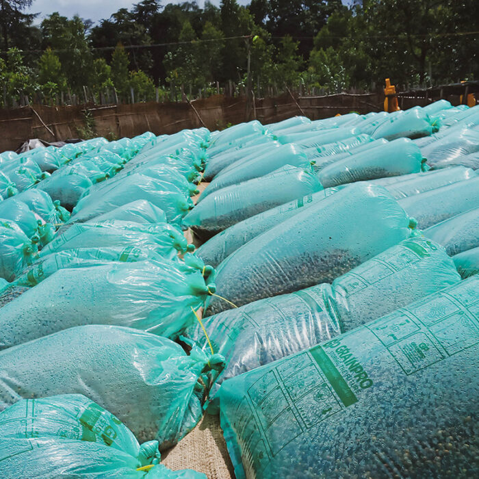 Halo beriti washing station
