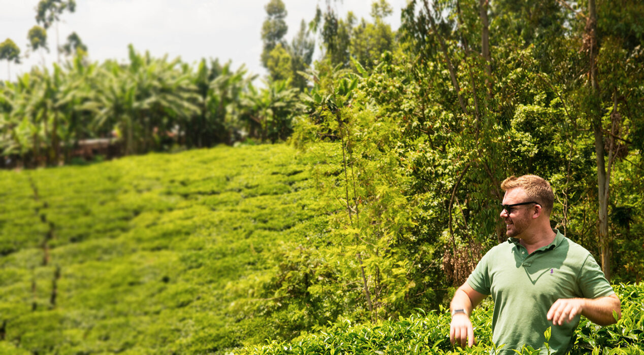 Learn What A Coffee Buyer Does To Find Exceptional Coffees