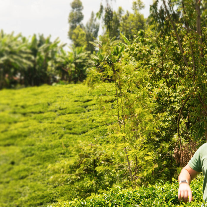 Learn What A Coffee Buyer Does To Find Exceptional Coffees