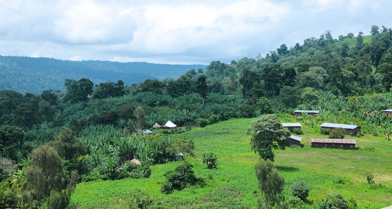 Uraga Bisrat