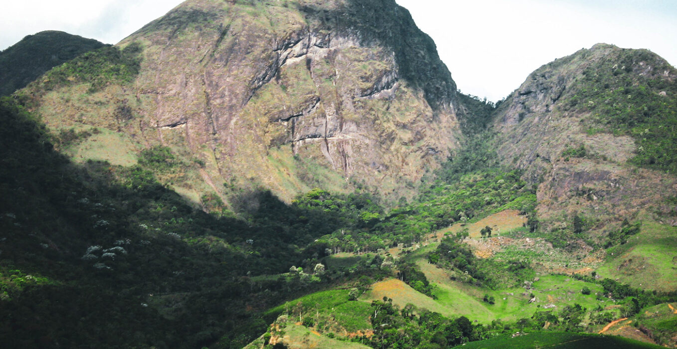 Serra do Boné Estate