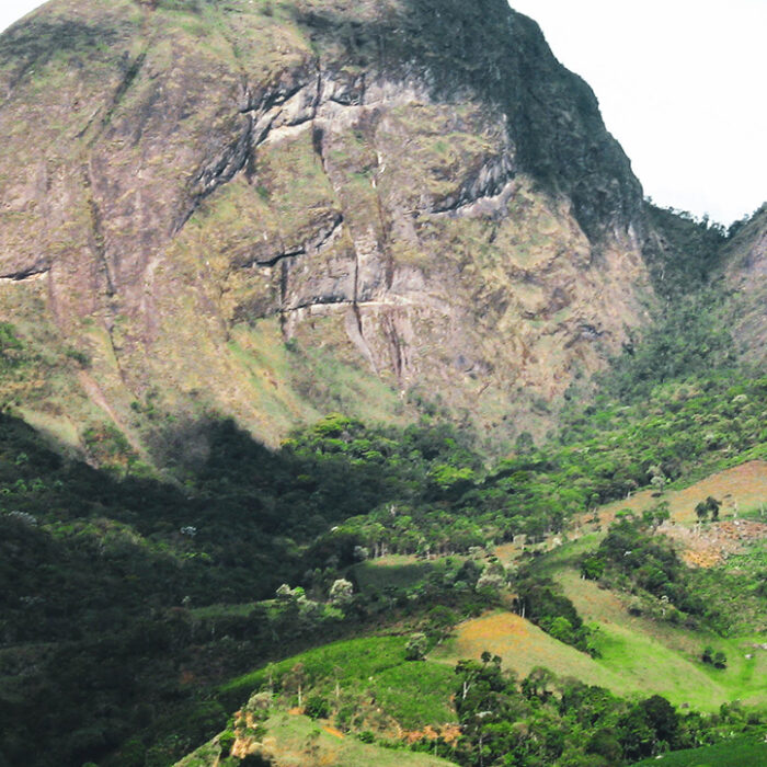Serra do Boné Estate