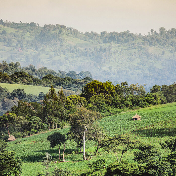 View from Debelo Cooperative Coffee Wet Mill