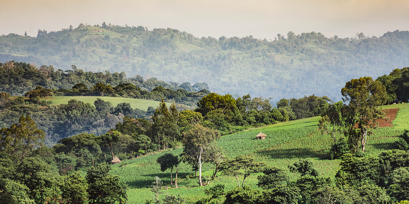 View from Debelo Cooperative Coffee Wet Mill