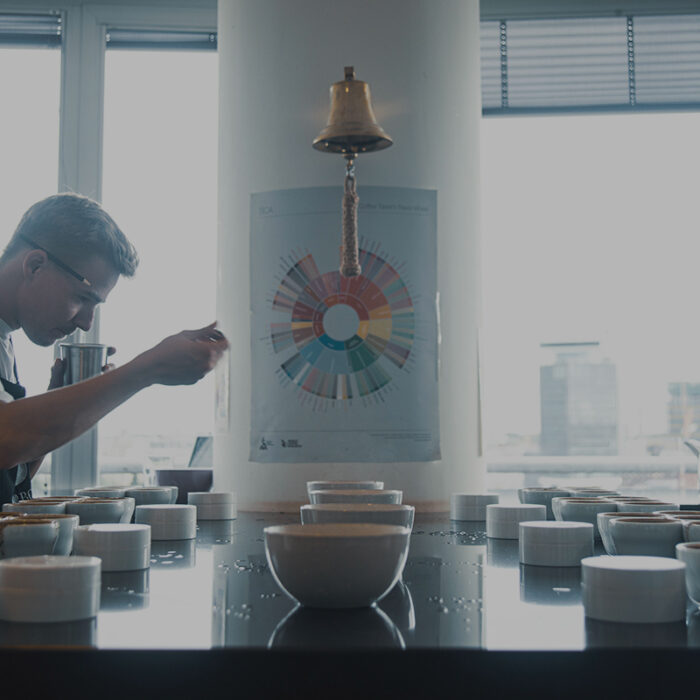 How we cup your coffees - A visual guide to the SCA cupping protocol