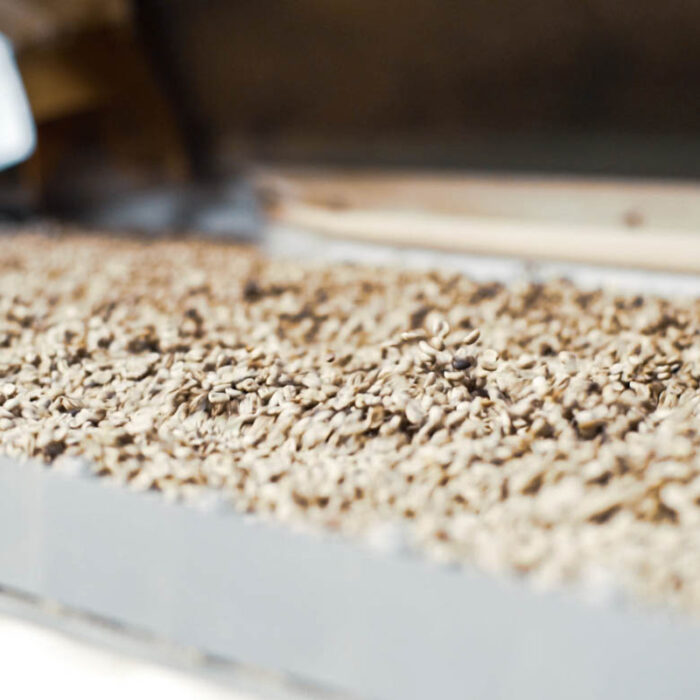 Coffee Grades Understanding The Basics