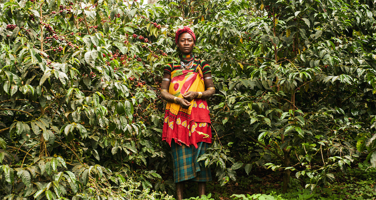 Coffee importer