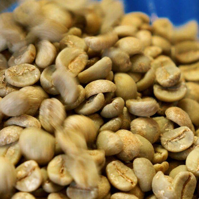 How To Green Grade Coffee