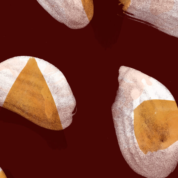 Comité de Cafeteros del Cauca