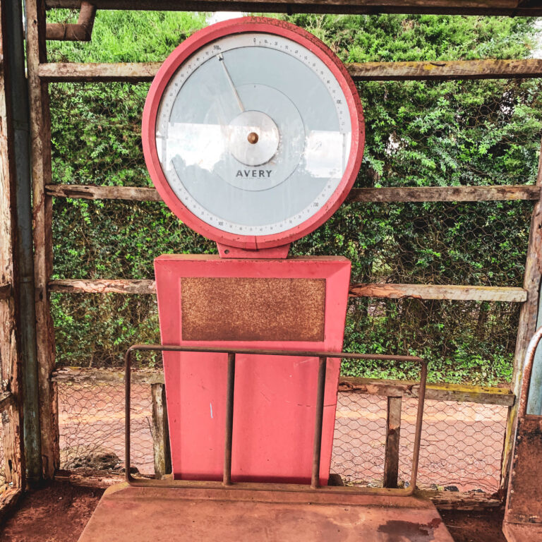How to interpret coffee futures timeslots