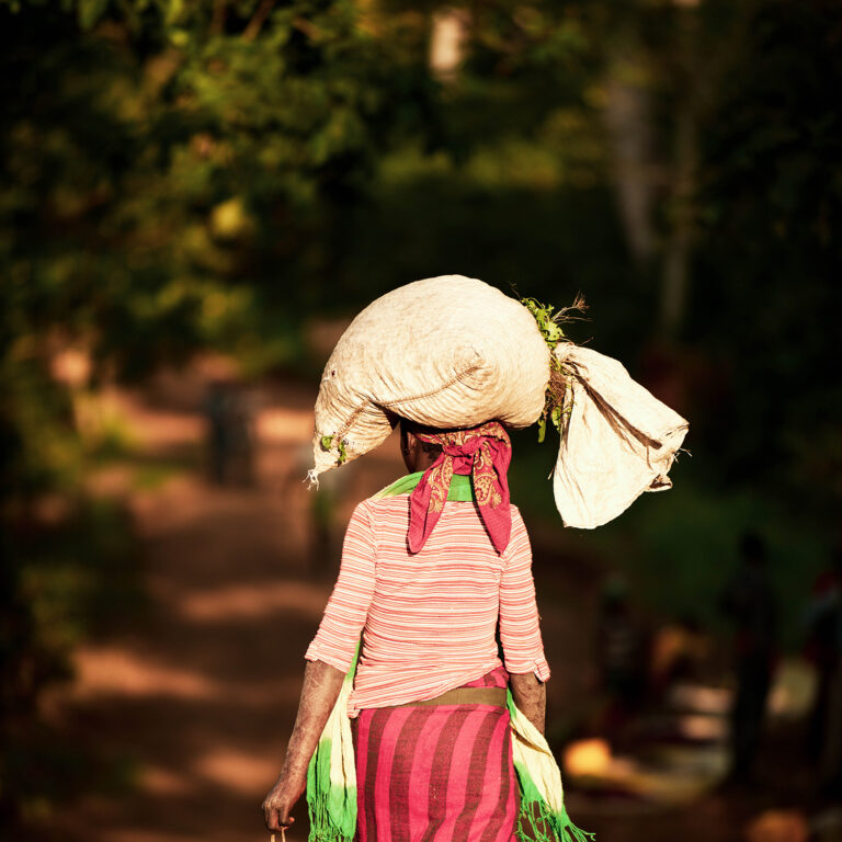 Role of coffee consumers in the market
